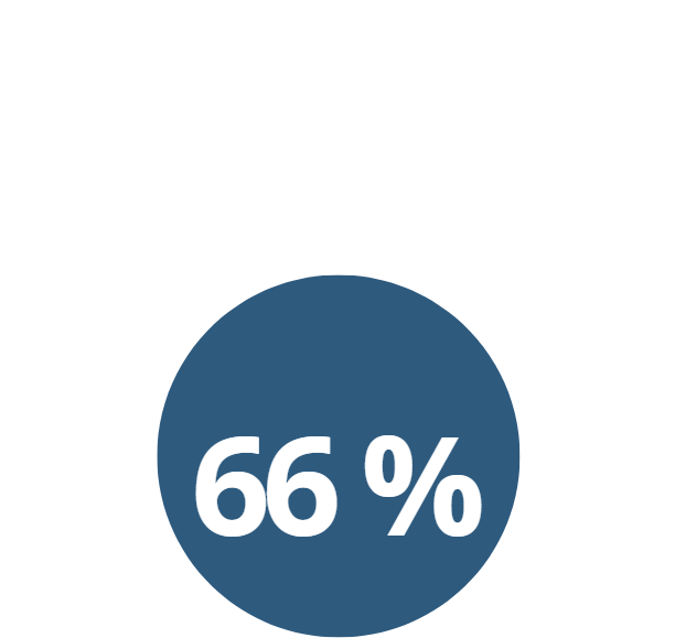 66 % ikonka