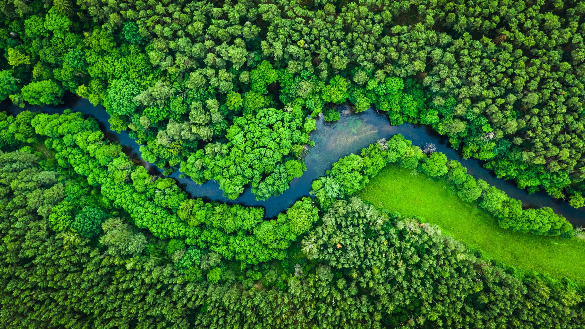 background-image